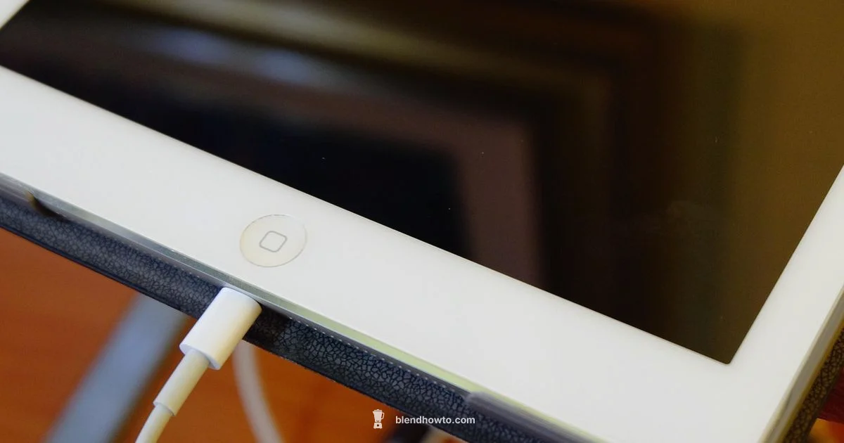 ipad blender Guide - BlendHowTo