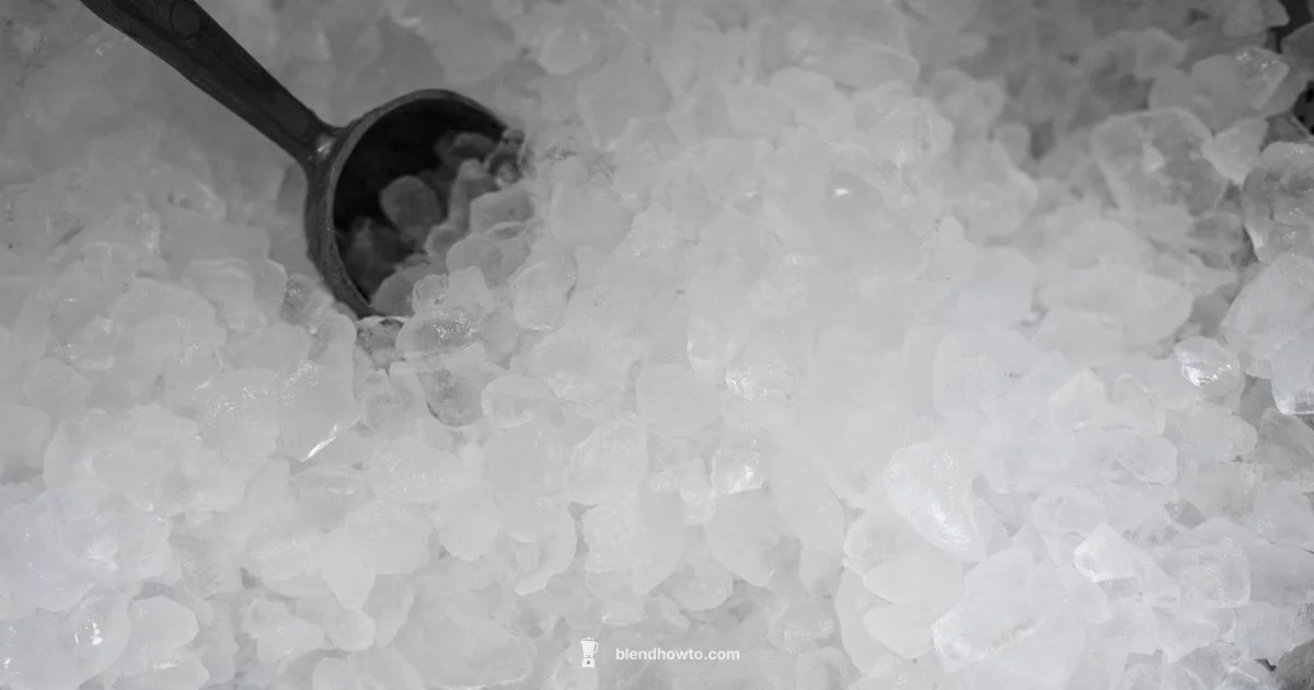 Ice and Blender Guide - BlendHowTo