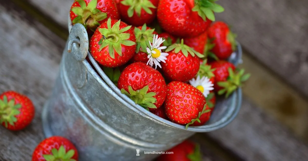 Blender vs Juicer - BlendHowTo