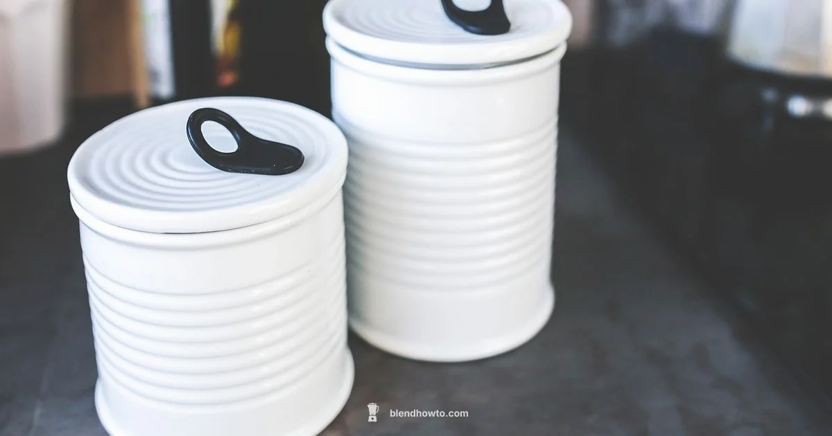 Plastic Blender Facts Plastic Blender Facts - BlendHowTo