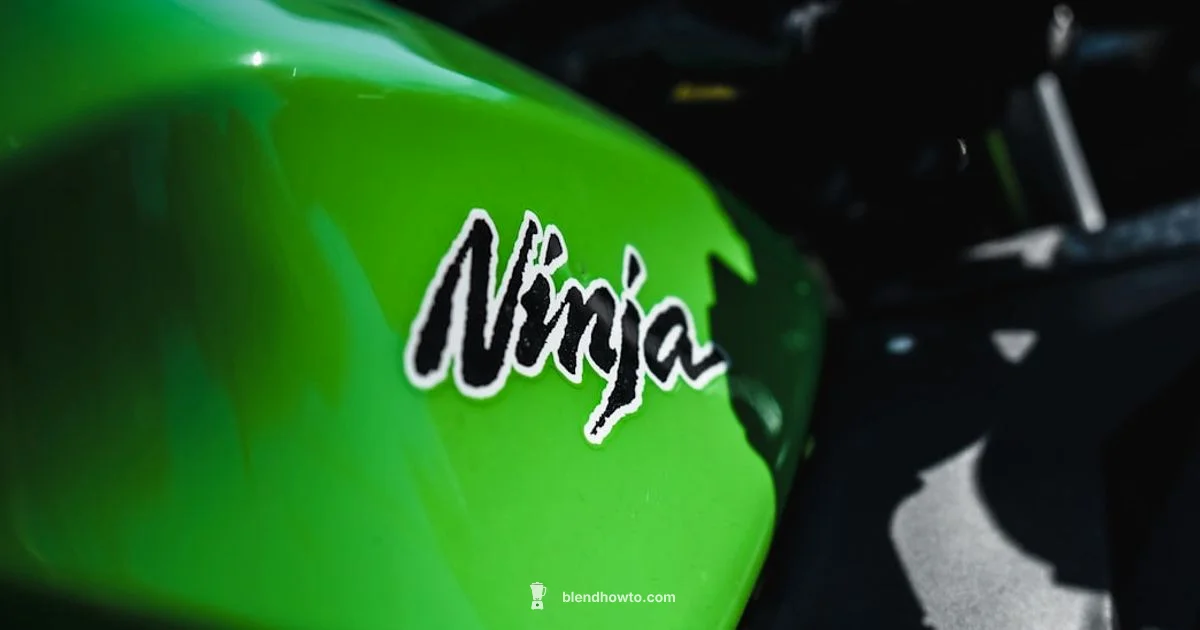 Ninja Blender Fix - BlendHowTo