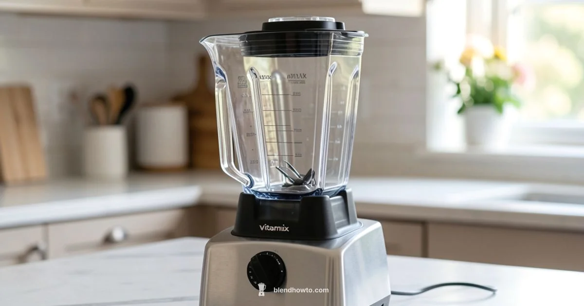 Vitamix Container Guide - BlendHowTo