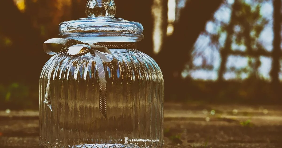 Glass vs Plastic Jars - BlendHowTo