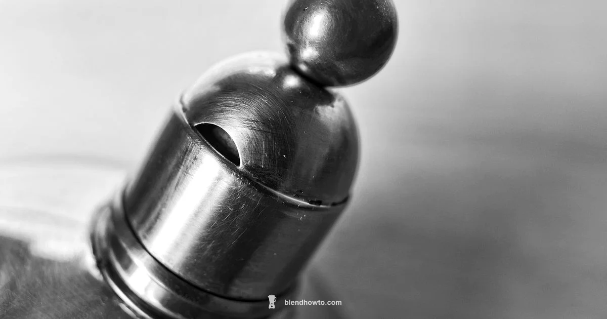 Stainless Jar Blender Stainless Jar Blender - BlendHowTo