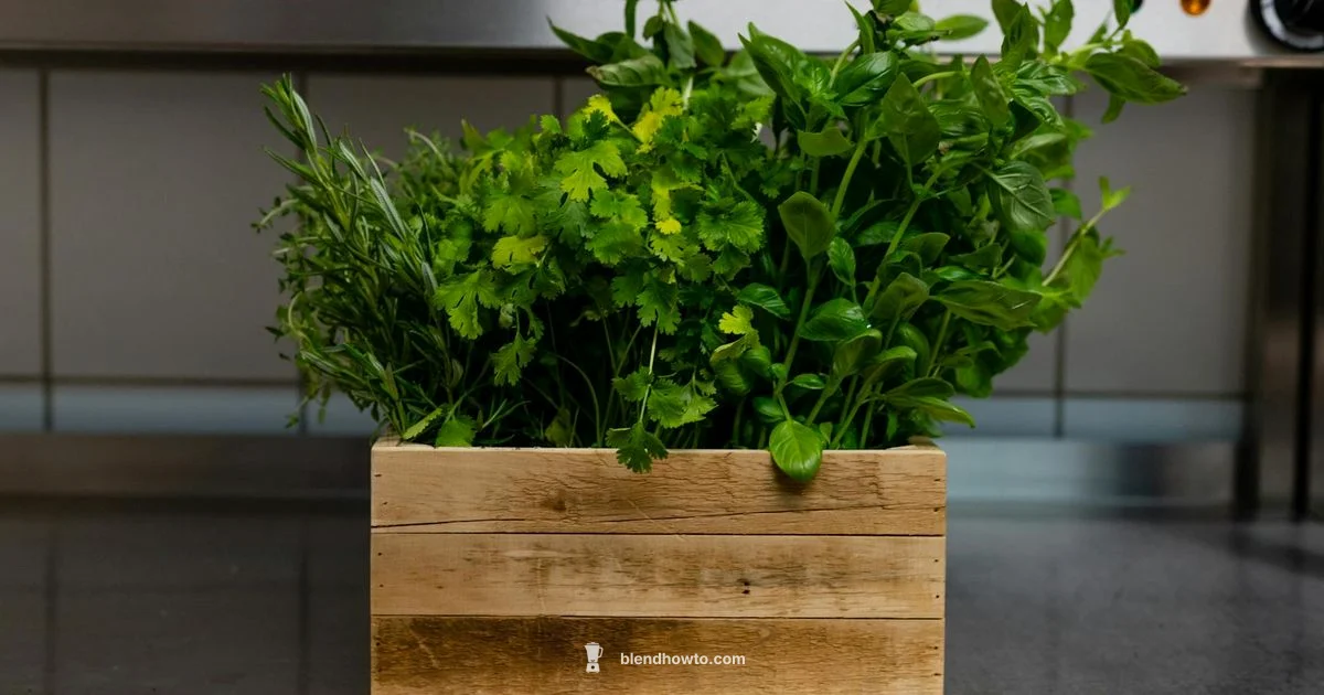 Vitamix Five Speed - BlendHowTo