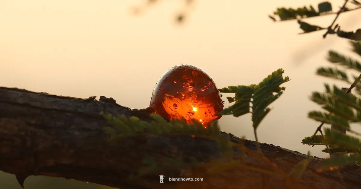 Paper Blender Guide - BlendHowTo