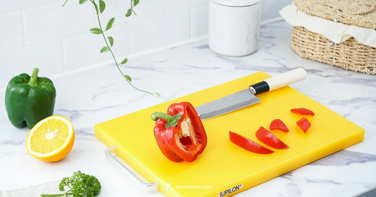 Blender Basics Blender Basics - BlendHowTo