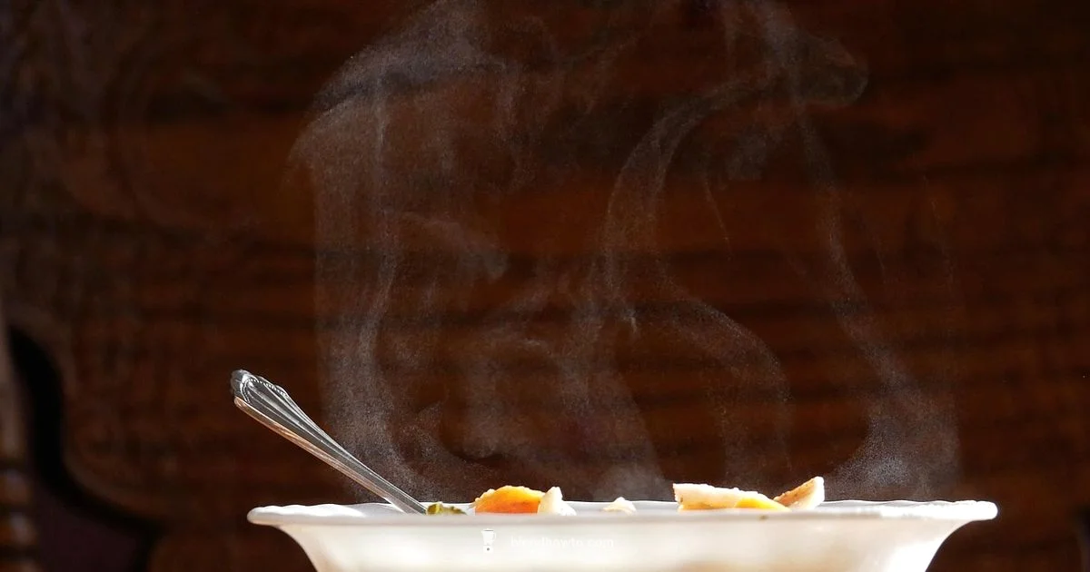 Hot Soup Blender Guide - BlendHowTo